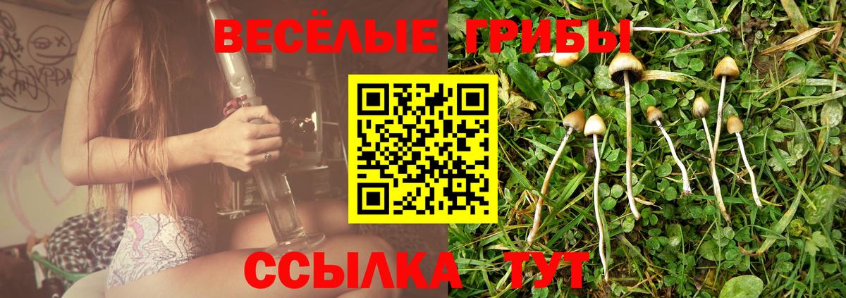 Галлюциногенные грибы мицелий  Вход с VPN  Ижевск  Псилоцибиновые грибы прущие грибы 