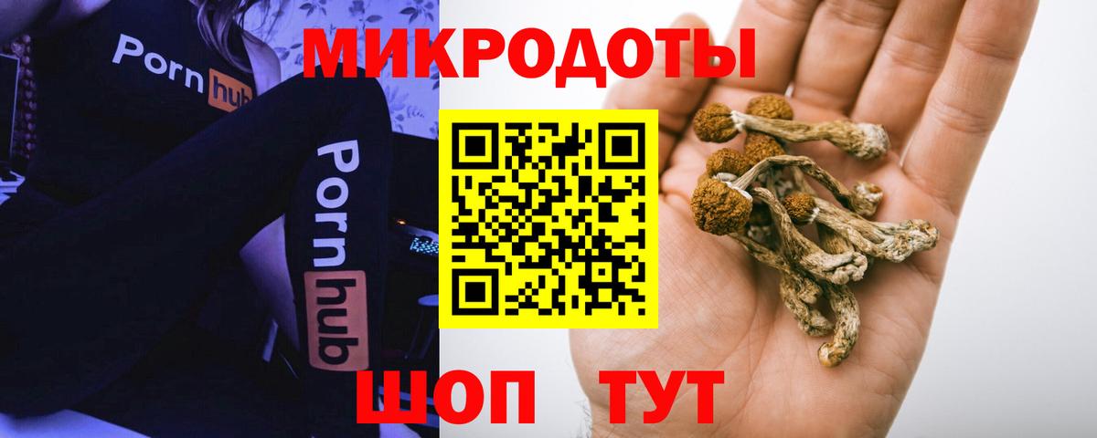 Галлюциногенные грибы прущие грибы Ижевск